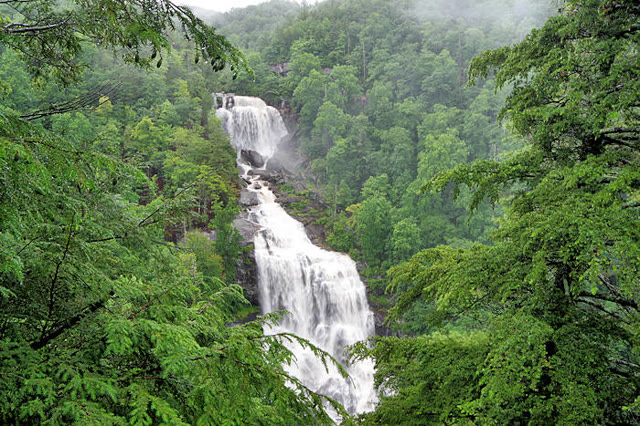Upper Whitewater Falls surrounded by forest